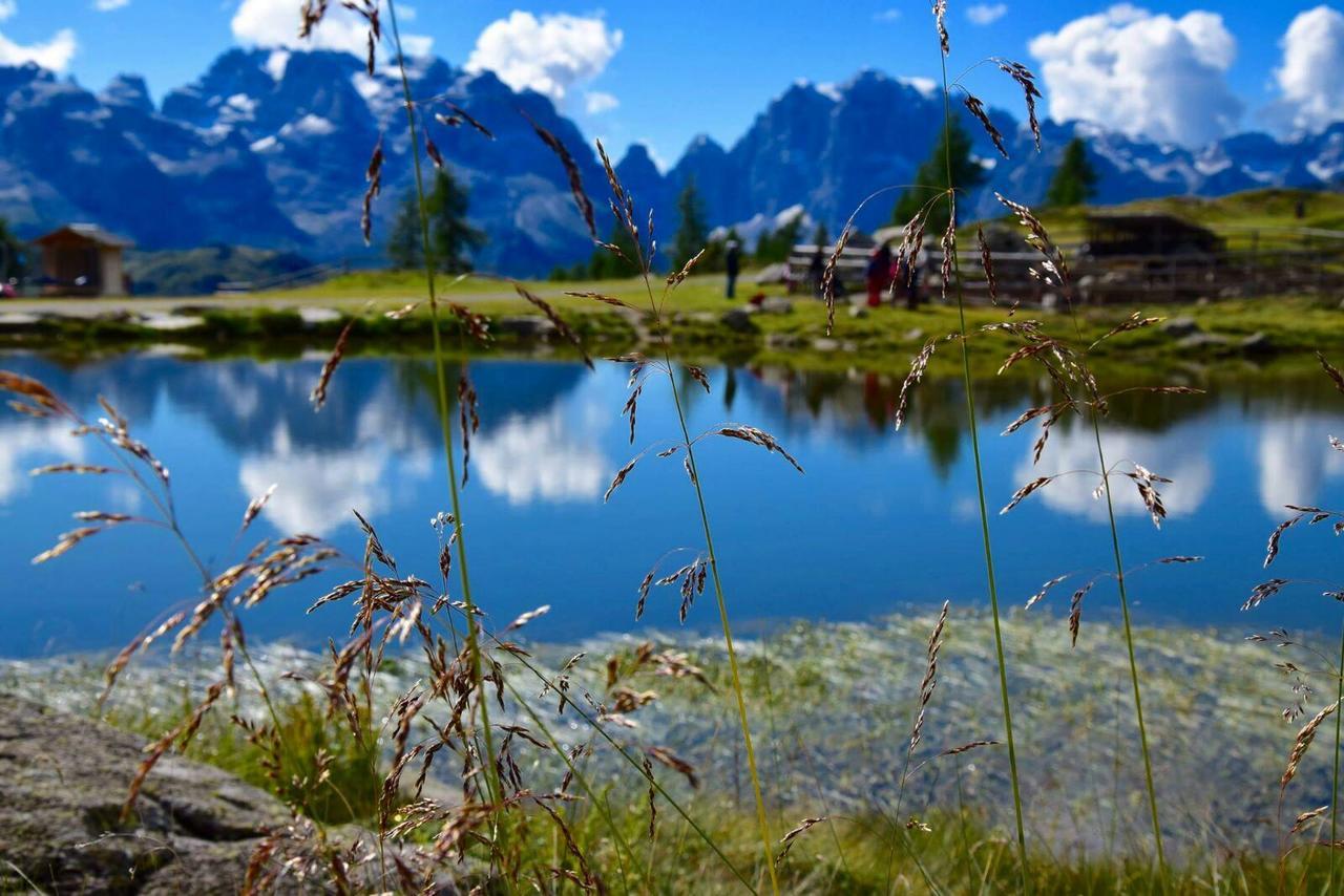 Rifugio Viviani Pradalago Madonna Exterior foto