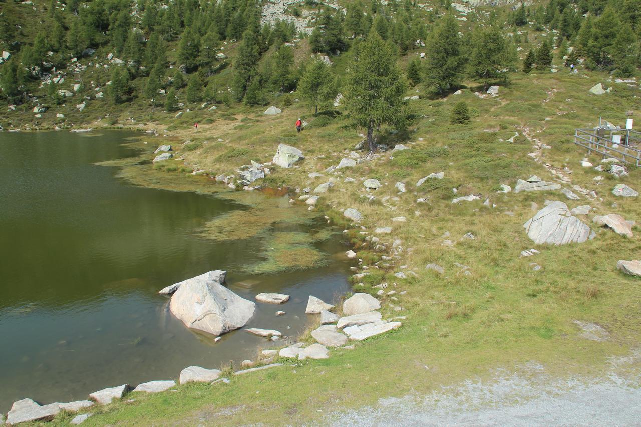 Rifugio Viviani Pradalago Madonna Exterior foto