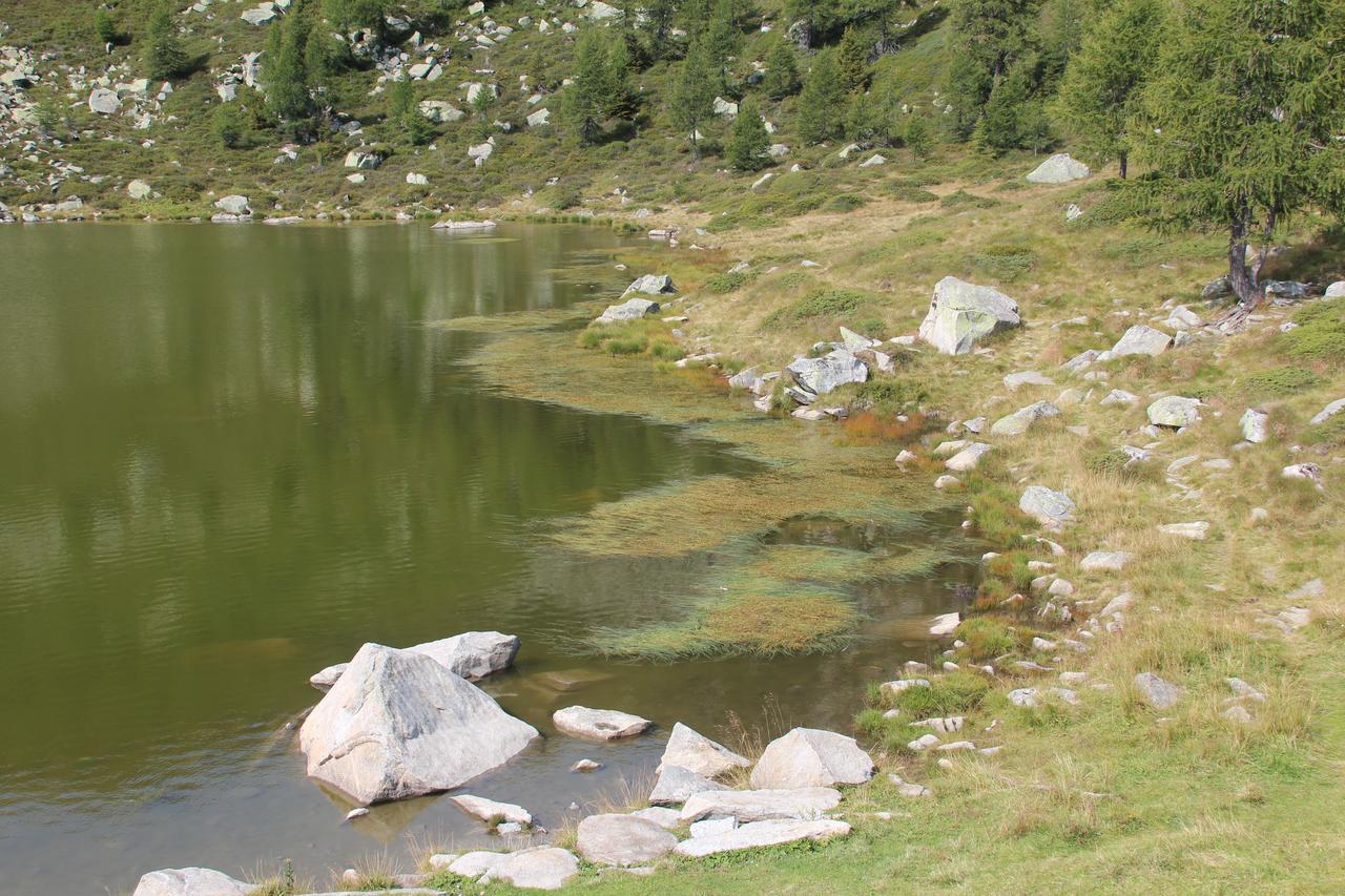 Rifugio Viviani Pradalago Madonna di Campiglio Exterior foto