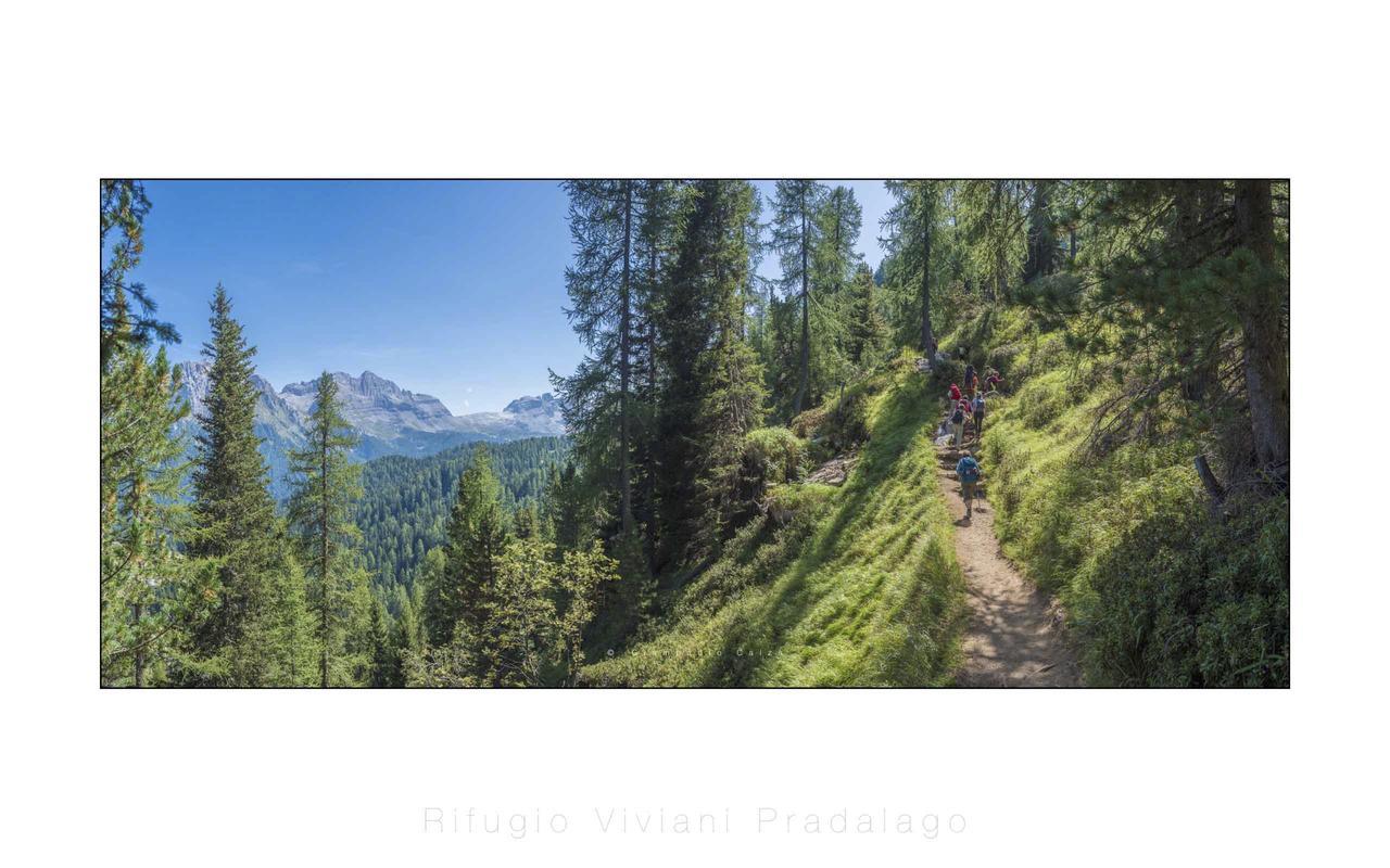 Rifugio Viviani Pradalago Madonna di Campiglio Exterior foto